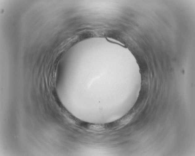 X0000088580139200706221325