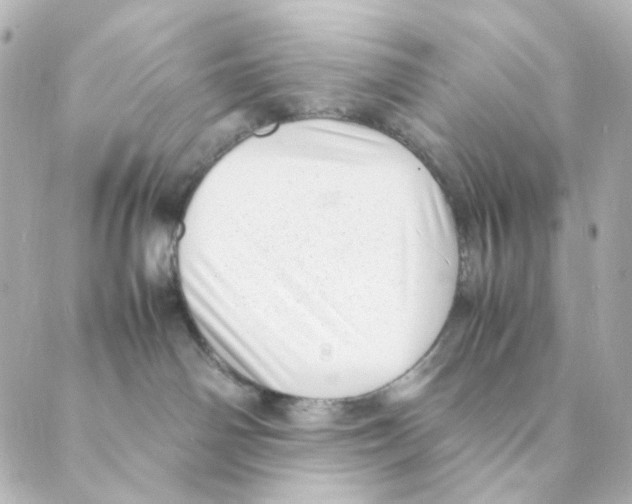 X0000088580142200706221325