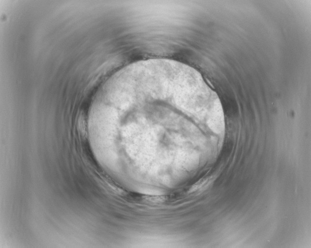 X0000088580143200706221325