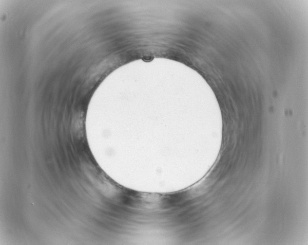 X0000088580144200706221325