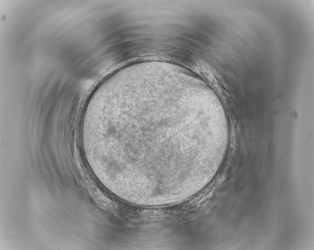 X0000088580145200706221325