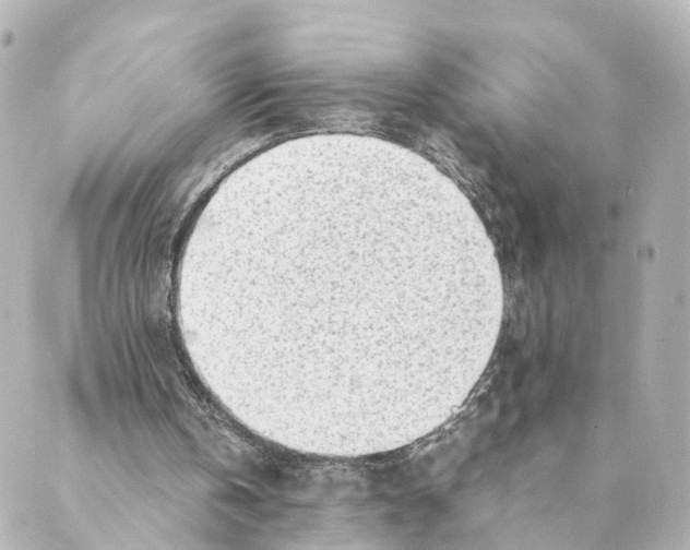 X0000088580146200706221325