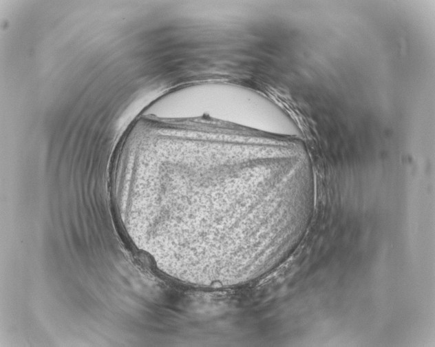 X0000088580147200706221325