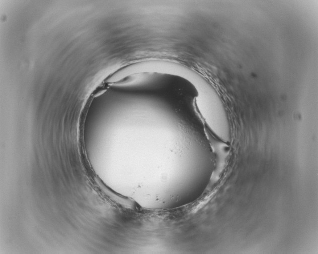 X0000088580148200706221325