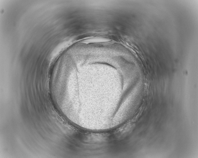 X0000088580149200706221325