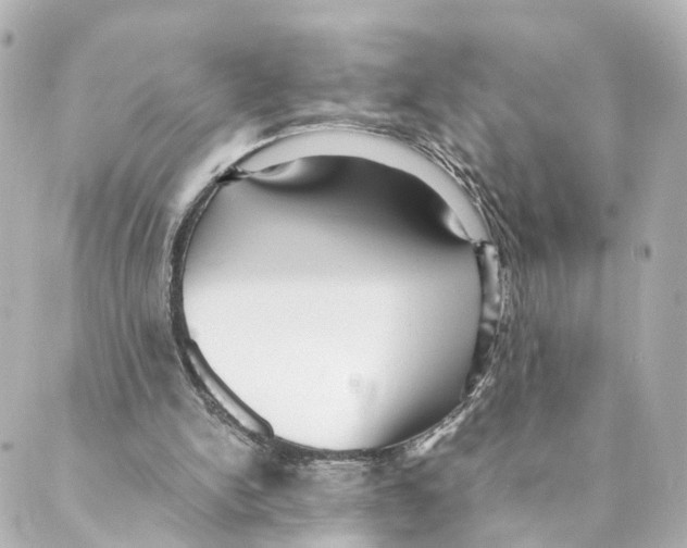 X0000088580150200706221325