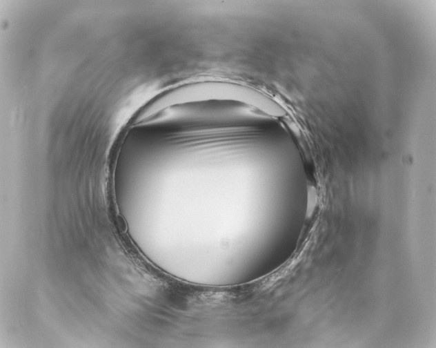 X0000088580152200706221325