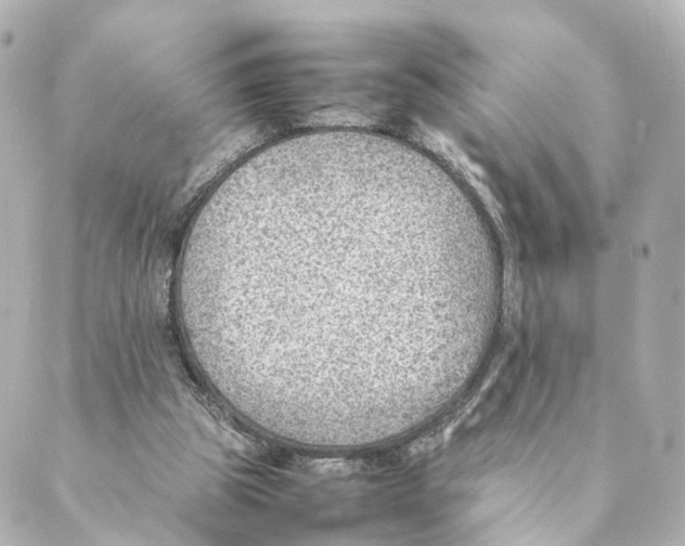 X0000088580153200706221325