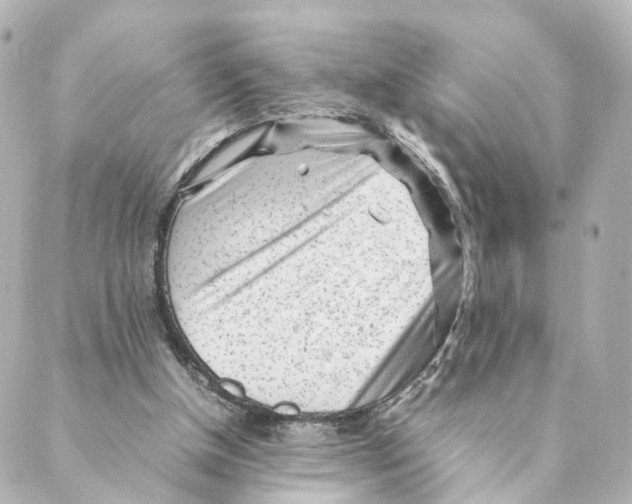 X0000088580154200706221325