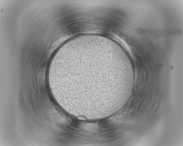 X0000088580155200706221325