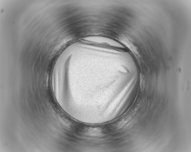 X0000088580157200706221325