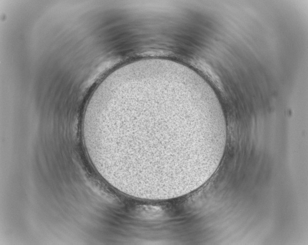 X0000088580159200706221325