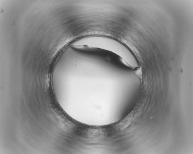 X0000088580160200706221325