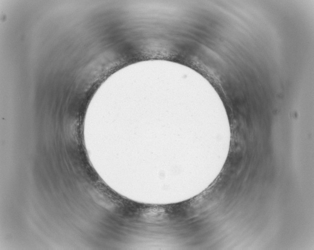 X0000088580162200706221325