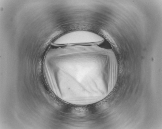 X0000088580163200706221325