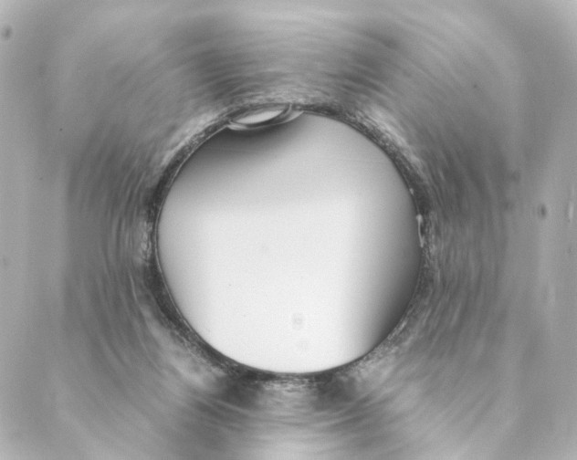 X0000088580164200706221325