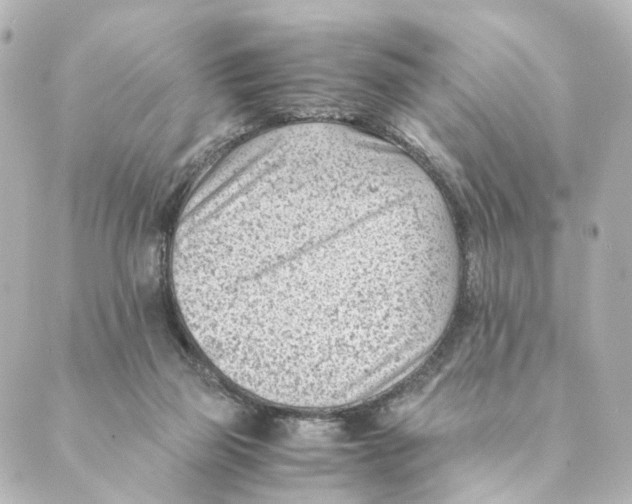 X0000088580165200706221325