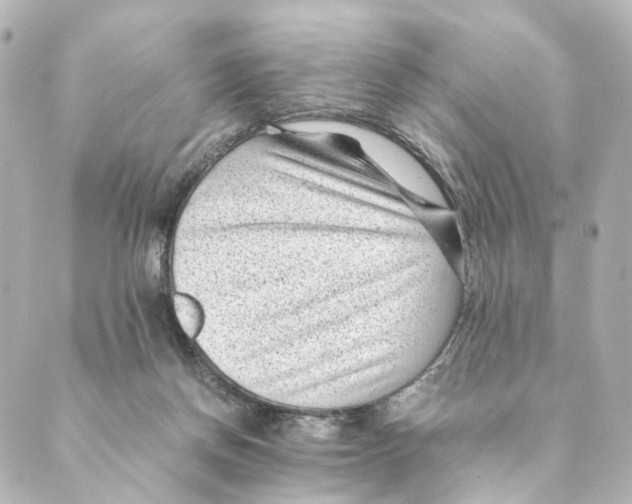 X0000088580166200706221325