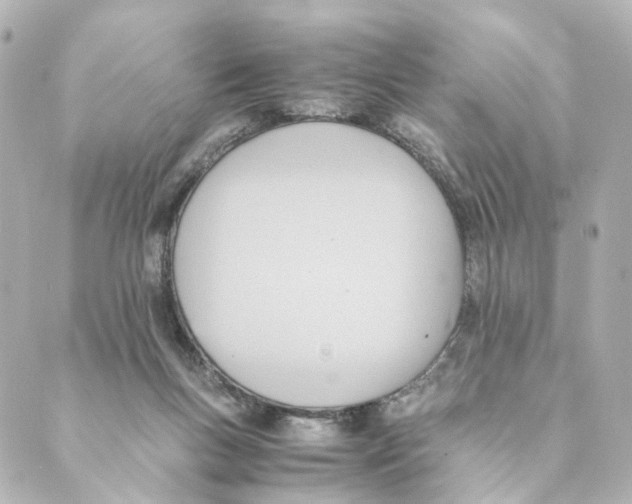 X0000088580167200706221325