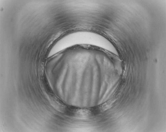 X0000088580168200706221325