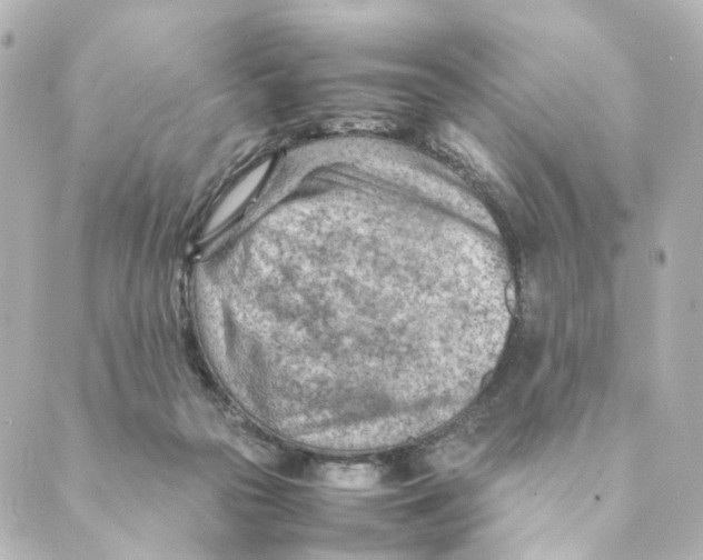 X0000088580169200706221325