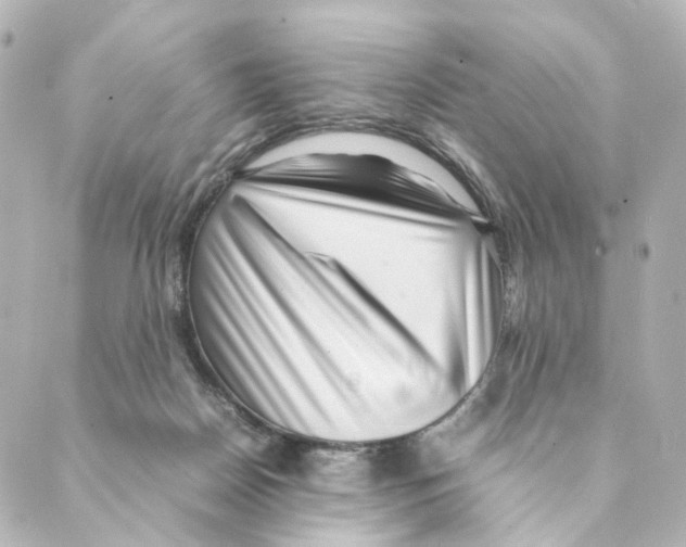 X0000088580170200706221325