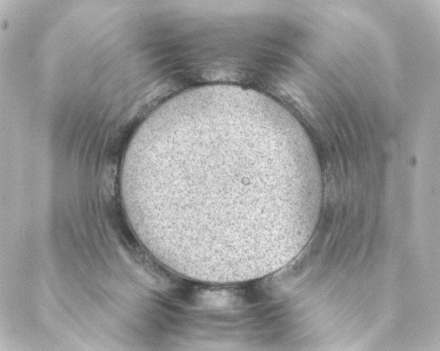 X0000088580171200706221325