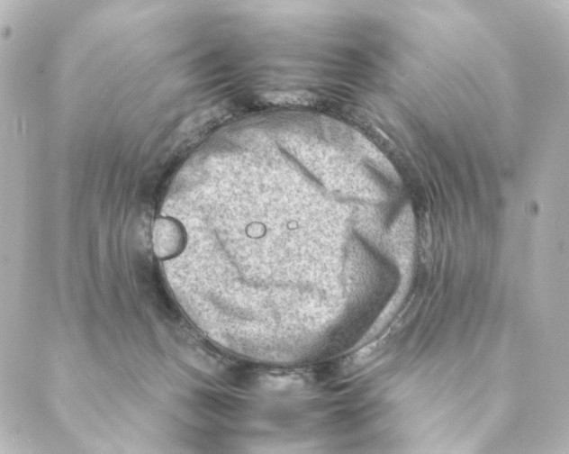 X0000088580175200706221325