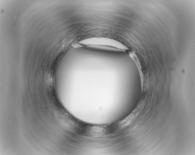 X0000088580176200706221325