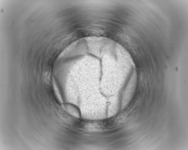 X0000088580177200706221325