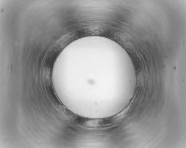 X0000088580178200706221325