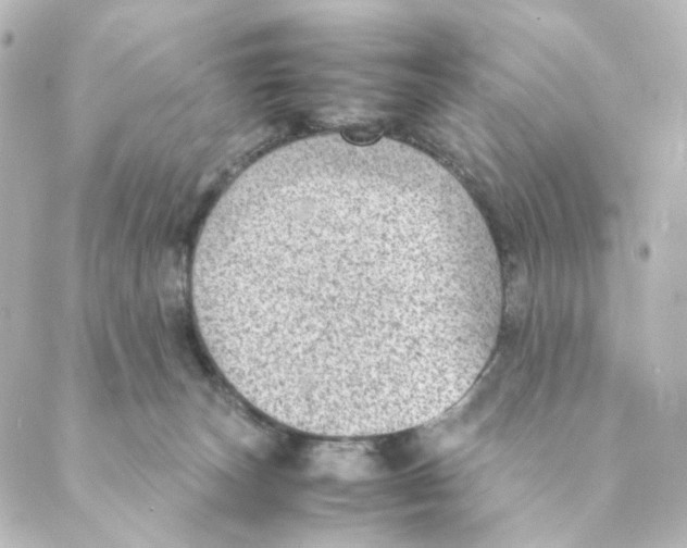 X0000088580179200706221325