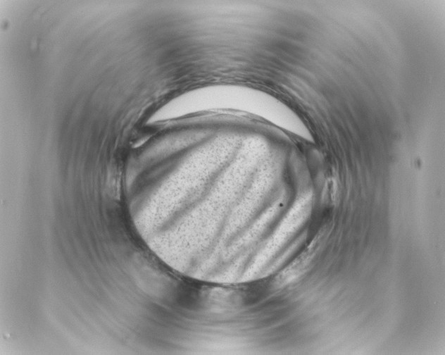 X0000088580180200706221325