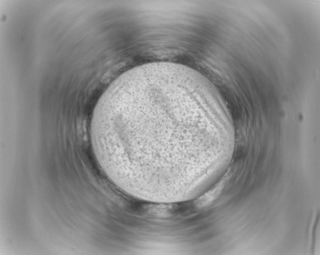 X0000088580182200706221325