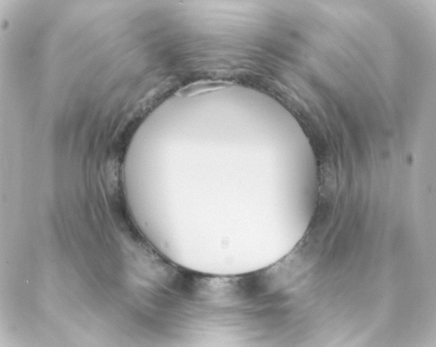 X0000088580184200706221325