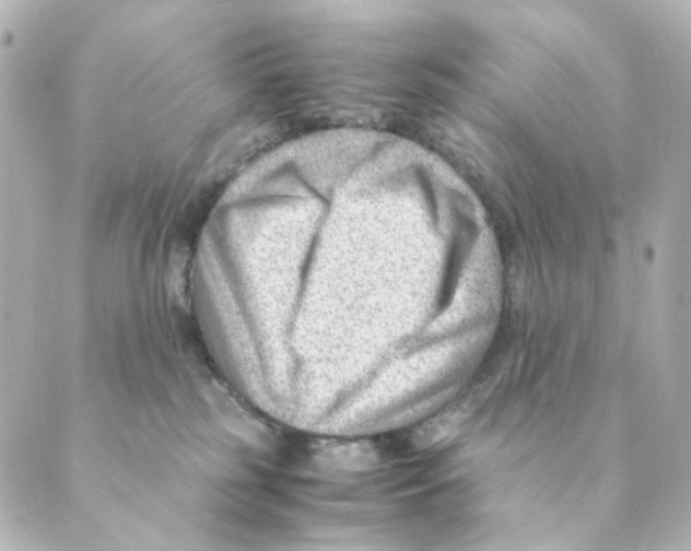 X0000088580185200706221325