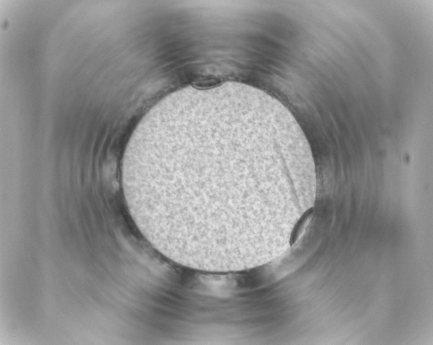 X0000088580187200706221325