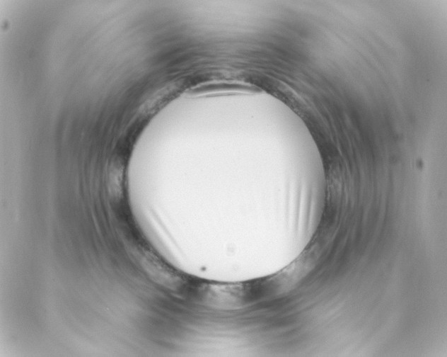 X0000088580188200706221325