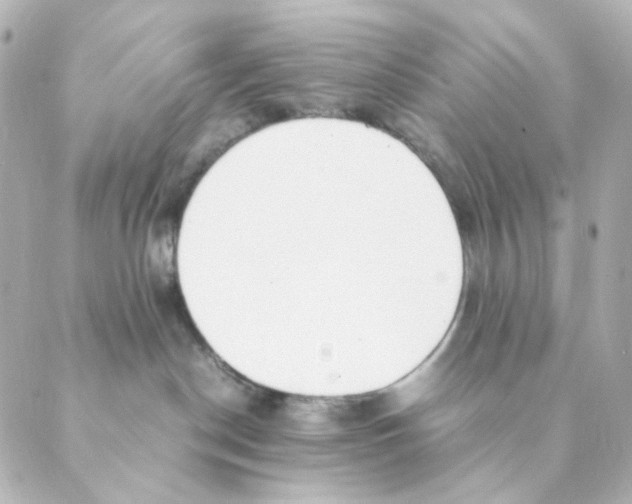 X0000088580190200706221325