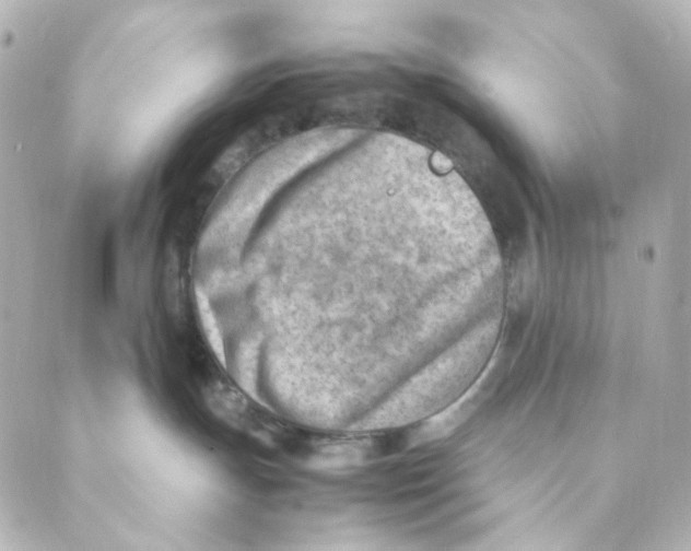 X0000088580191200706221325