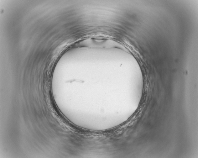 X0000088580193200706221324