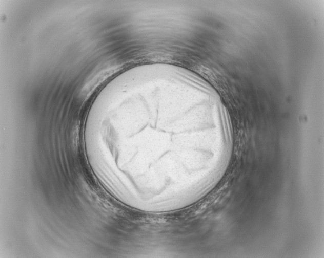 X0000088580194200706221324