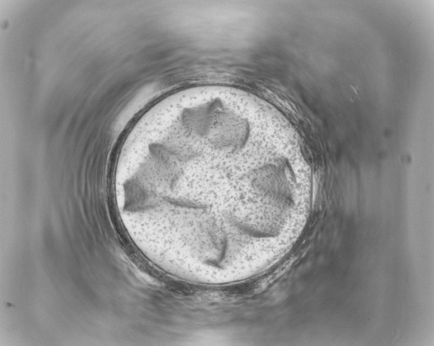 X0000088580195200706221324