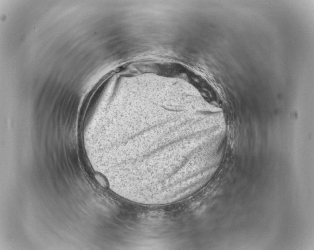 X0000088580196200706221324