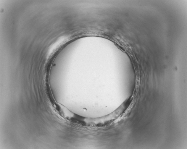 X0000088580197200706221324