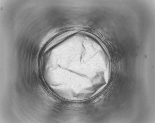 X0000088580198200706221324