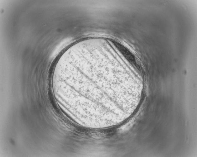 X0000088580199200706221324