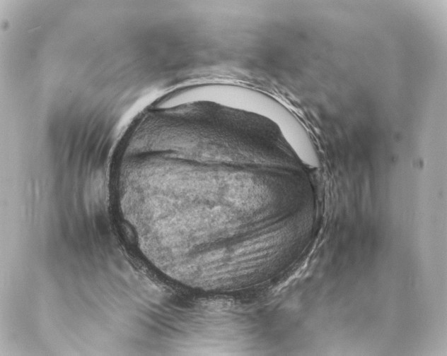 X0000088580200200706221324