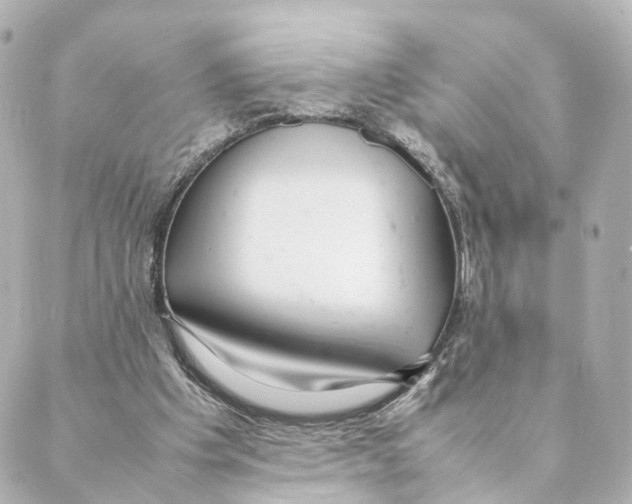 X0000088580201200706221324