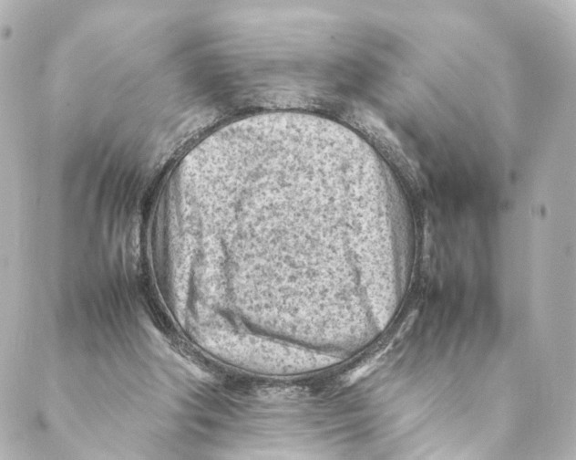 X0000088580202200706221324